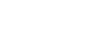 BAM Logo White